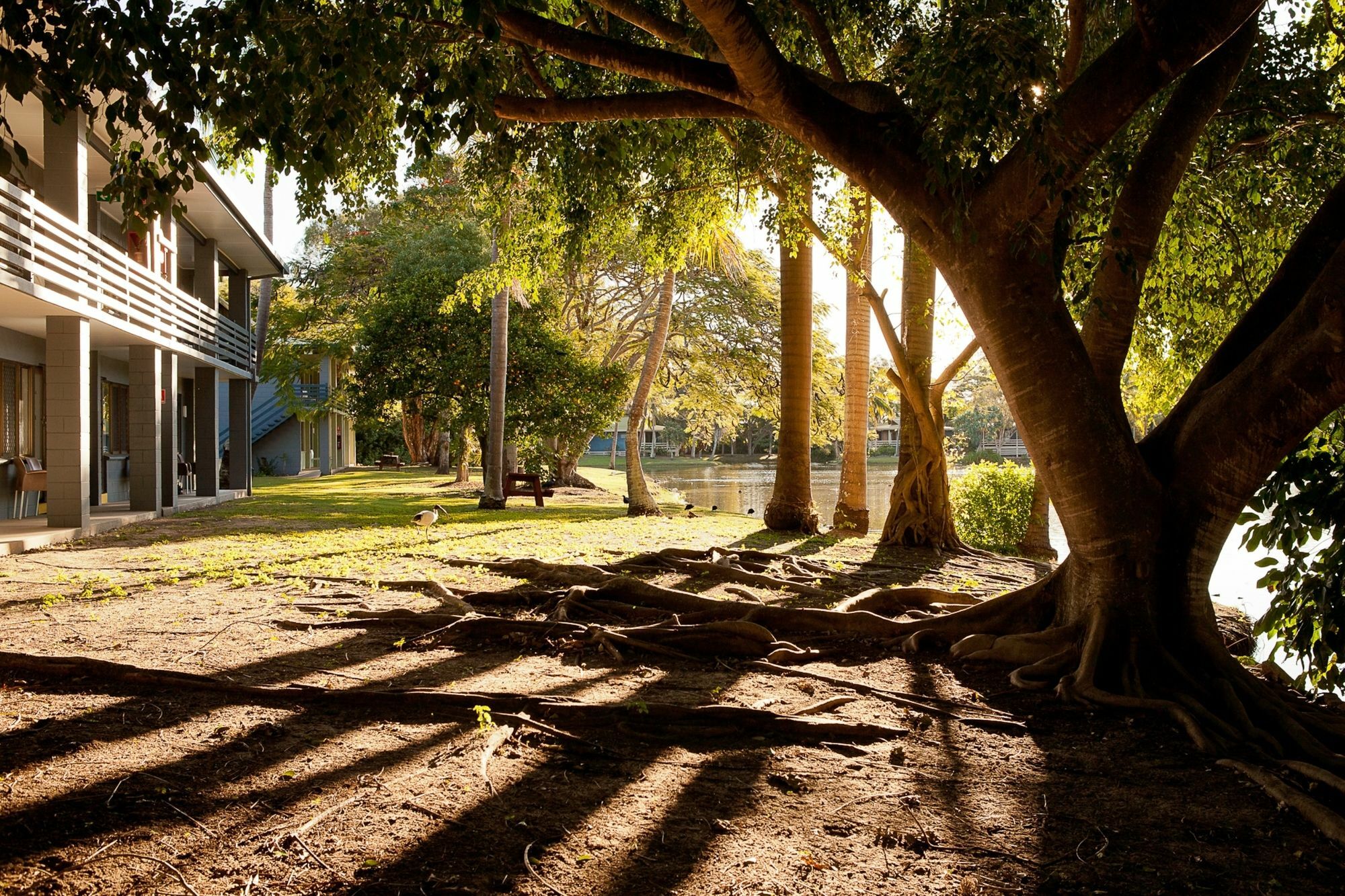 Kondari Hotel Hervey Bay Zewnętrze zdjęcie